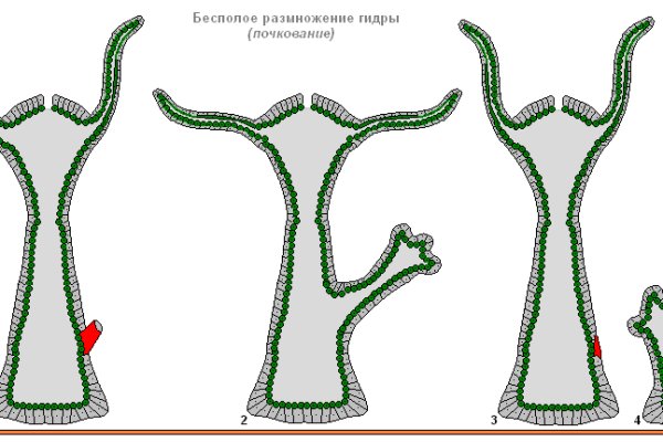 Кракен даркнет krawebes