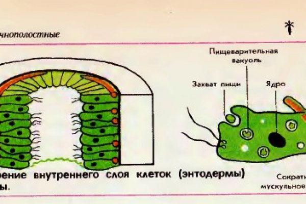 Кракен онион рабочая ссылка