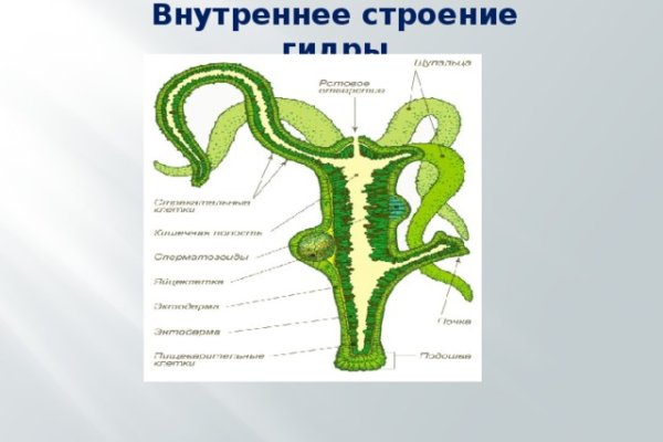 Кракен сайт что