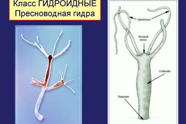 Кракен вход официальная ссылка